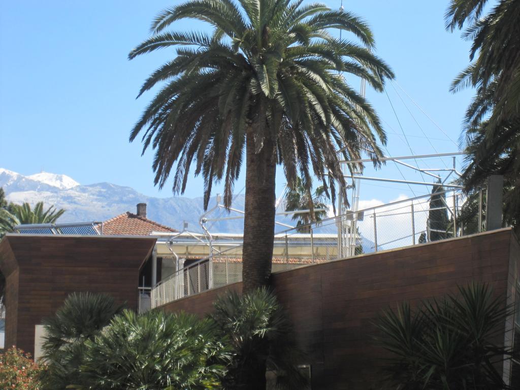 Apartments City Center Tivat Eksteriør billede