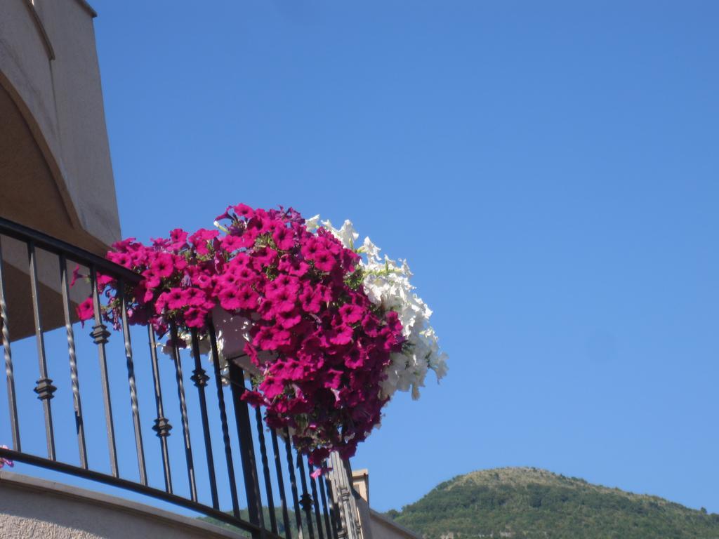Apartments City Center Tivat Eksteriør billede